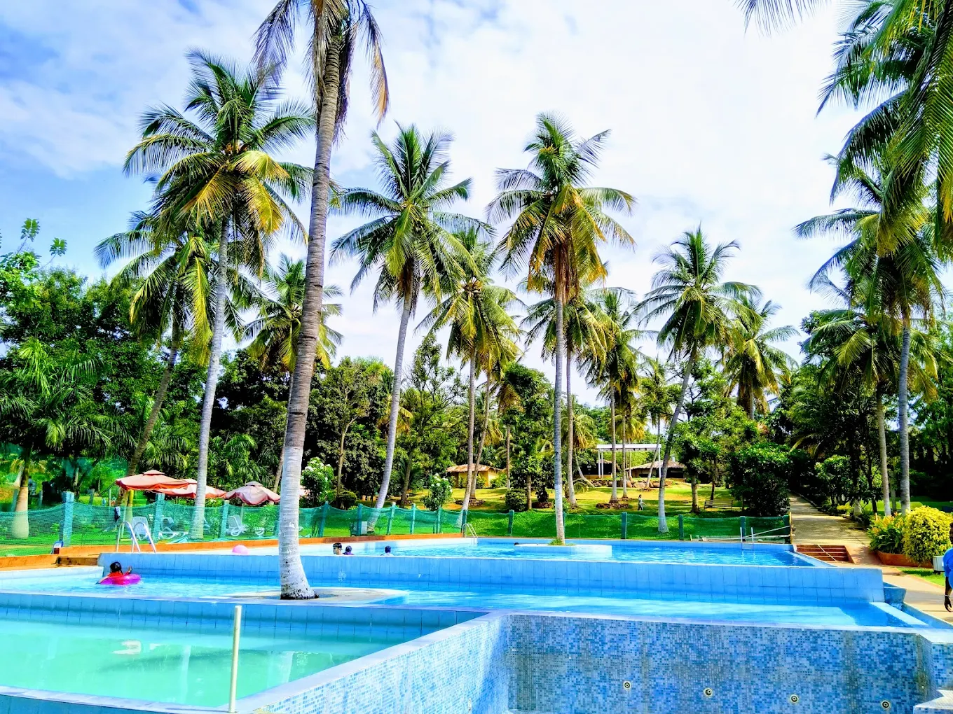royal-fern-retreat-aerial-pool-view