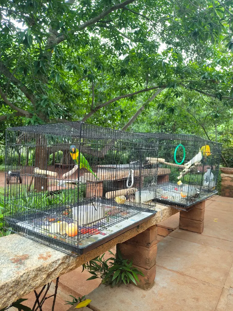 peacock-ridge-resort-cottages-lawn-view