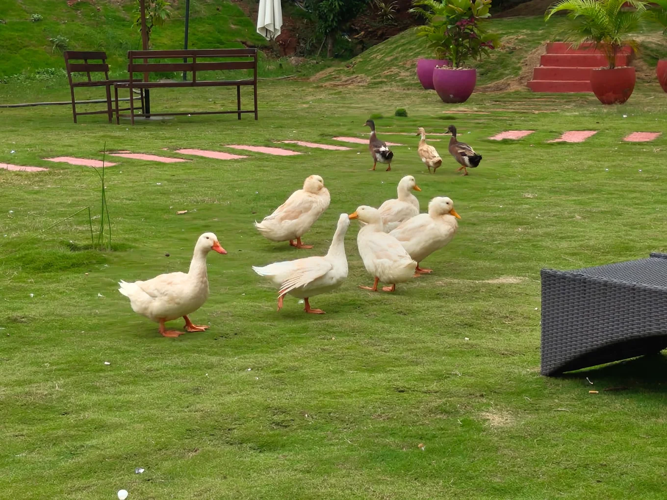 lotus-valley-hideaway-cottage-room-interior