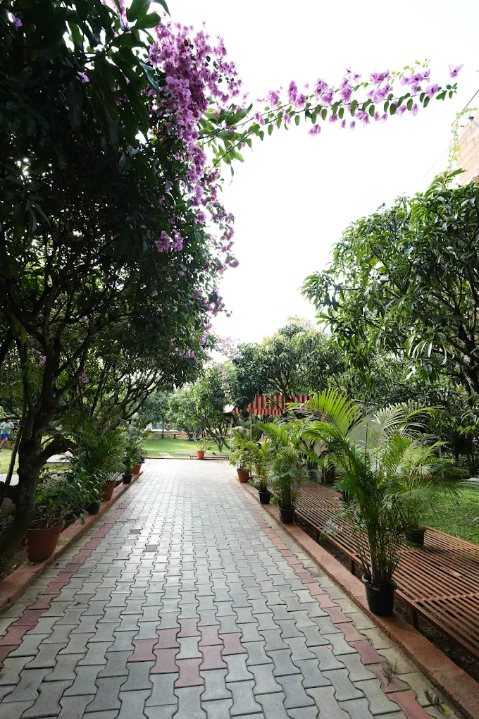 Suggee Resort garden walkway surrounded by greenery